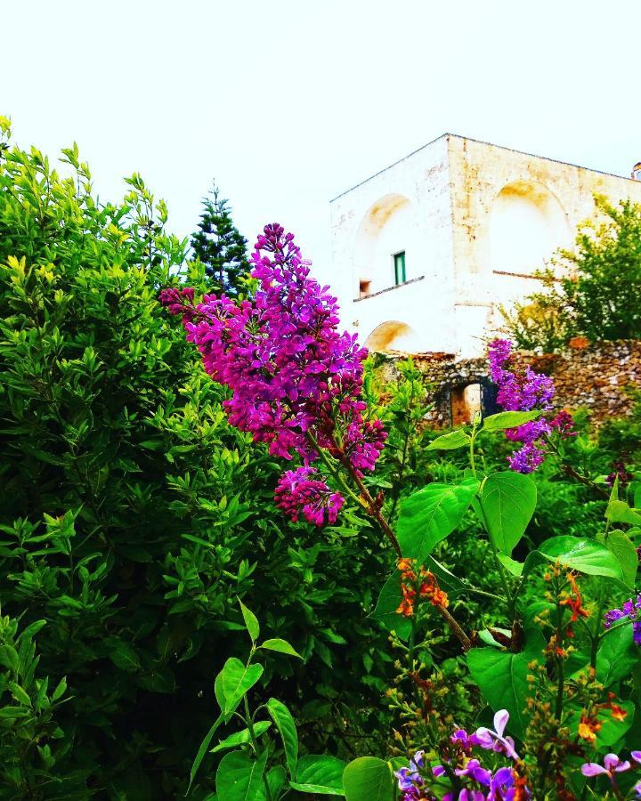Masseria Delle Rose 1760 알레사노 외부 사진