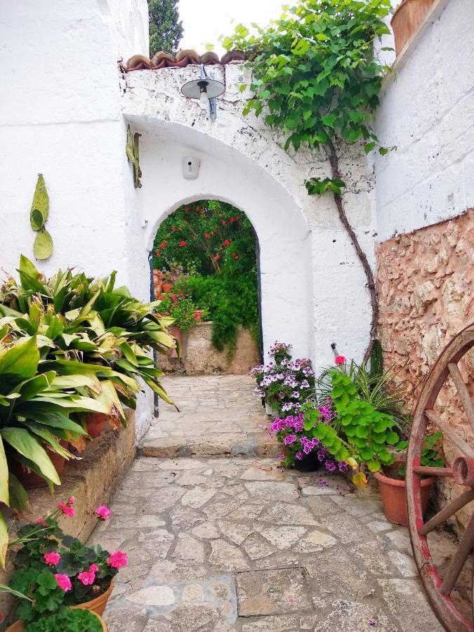 Masseria Delle Rose 1760 알레사노 외부 사진