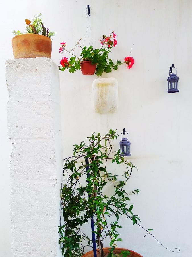 Masseria Delle Rose 1760 알레사노 외부 사진